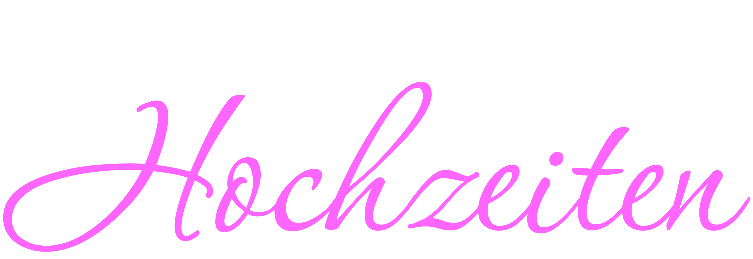hochzeit-fotografie-berlin.de